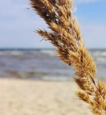 Kuru Guest House Pensión