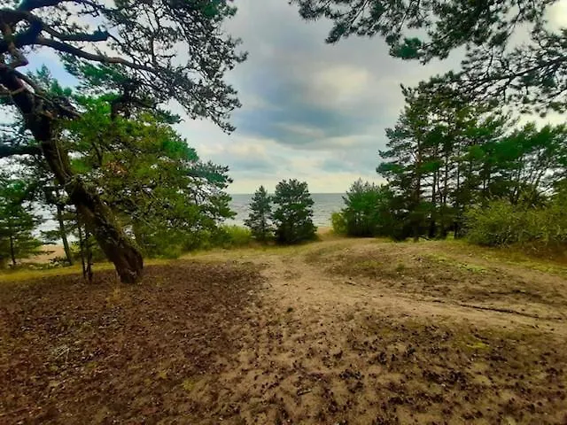 Kuru Guest House Kuru